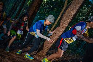 BIB: 1445, 144
                            <button type="button" onclick="openModal(19212942)" class="btn btn-primary btn-sm float-right btn-popup" data-toggle="modal" data-target=".modal-high-quality">
                        <i class="fas fa-shopping-cart"></i> Add to Cart
                    </button>
                                            <button type="button" onclick="isThisMe(19212942, true)" class="btn btn-success btn-sm float-right btn-popup btn-isme hidden" data-toggle="tooltip" data-placement="bottom" title="นี่คือรูปของคุณใช่ไหม คลิกที่นี่เพื่อเอาเข้าอัลบั้ม">
                        <i class="fas fa-plus"></i> Add to album
                    </button>
                    <button type="button" onclick="isThisMe(19212942, false)" class="btn btn-warning btn-sm float-right btn-popup btn-isnotme hidden">
                        <i class="fas fa-ban"></i> Remove from album
                    </button>